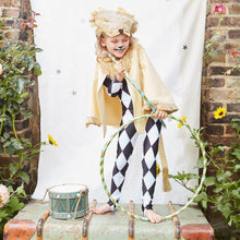Load image into Gallery viewer, Lion Costume