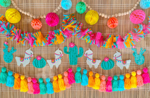 Llama Fiesta Party Set